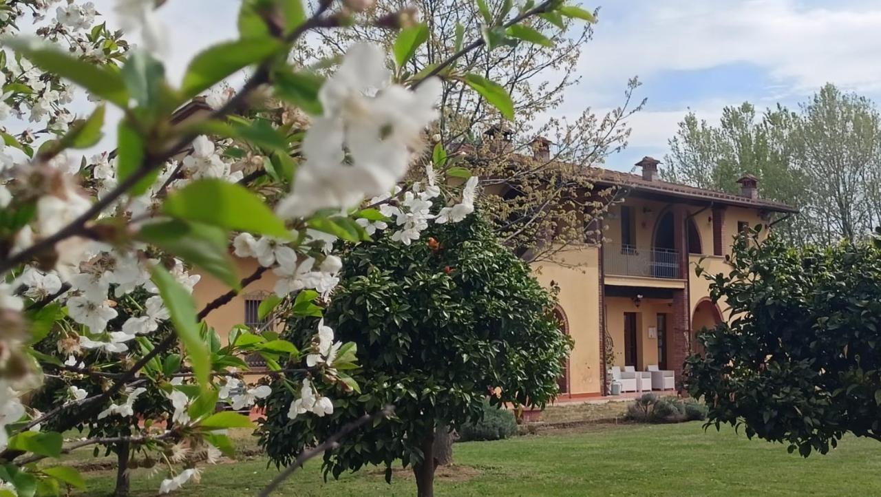 Il Chiassetto Agriturismo No Kids Кашина Екстериор снимка