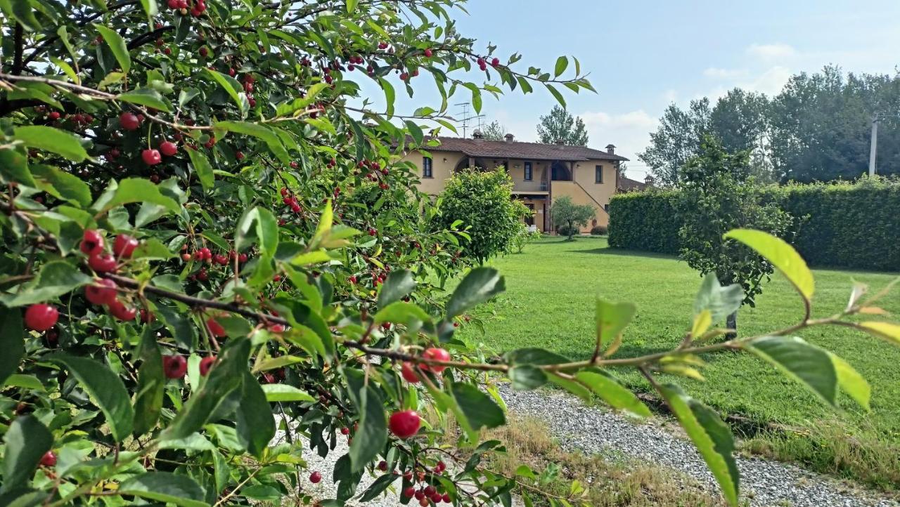 Il Chiassetto Agriturismo No Kids Кашина Екстериор снимка